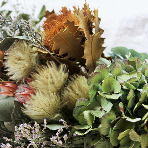 * * * 秋色スワッグ 紫陽花 ドライアンドラ ユーカリ ラッピング無料 秋色スワッグ 紫陽花 ドライアンドラ ユーカリ ラッピング無料