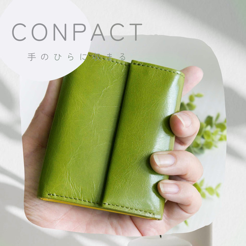 ショプバ・箱付き　二つ折り財布　グリーンアップル THE SCAPE OF GREEN やみつきサイフ APPLE GREEN│宝島社の通販 宝島