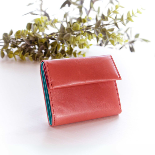 【ぽこぺん】ミニ財布 （ ターコイズ × フクシアピンク ） ぽこぺん】ミニ財布 （ ターコイズ × フクシアピンク ） 楽天