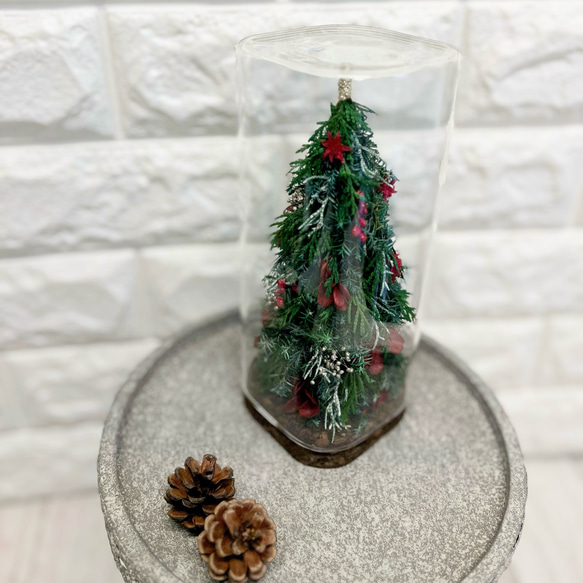 《Creema限定》《超早割クリスマス2025》クリスマスギフト2025・プリザーブドフラワー・クリスマスツリー 2枚目の画像