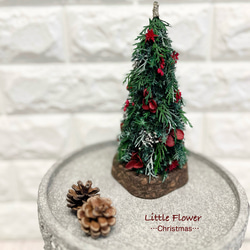 《Creema限定》《超早割クリスマス2025》クリスマスギフト2025・プリザーブドフラワー・クリスマスツリー 1枚目の画像