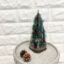 《Creema限定》《超早割クリスマス2025》クリスマスギフト2025・プリザーブドフラワー・クリスマスツリー 3枚目の画像