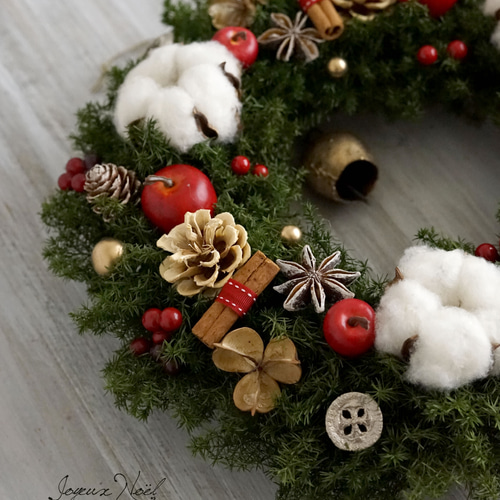 クリスマス・リース（9）～ Joyeux Noël ～ 29cm（プリザ） アート