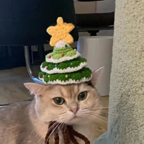 新しいスタイル どんぐりアート♡ 2024年ねこ帽子クリスマス