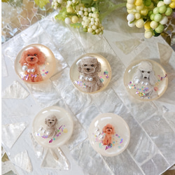 カラージェルとレジンのカボション☆5ペア(計10個) b-5☆送料無料 