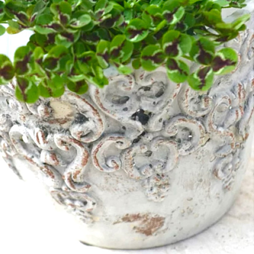 クレスト・ラウンドポット S レリーフ付 アンティーク調陶器鉢 植木鉢