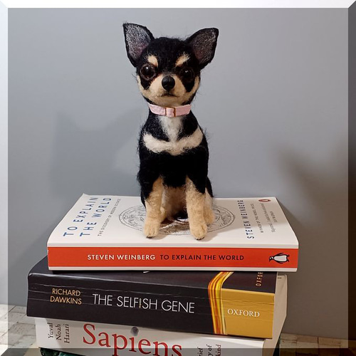 羊毛フェルト 犬 チワワ ブラックタン 犬フィギュア 羊毛フェルト  