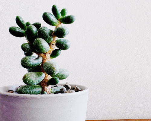 e2765bf27f82440ae58e53f52baa53