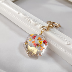 8650d75deb09fca65f5eab4ca5a444