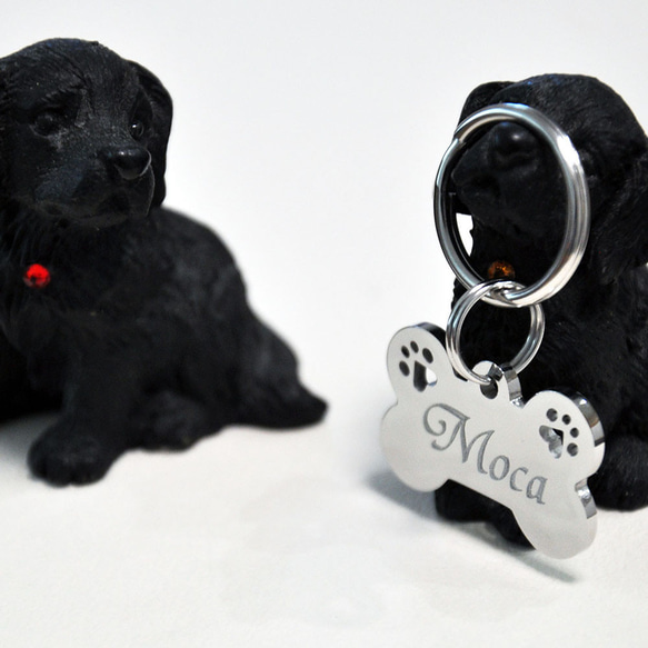 迷子札 小型 犬 ステンレス ボーンタイプ （肉球 切抜タイプ）（25-16mm）ペット ドッグ ネーム タグ 3枚目の画像