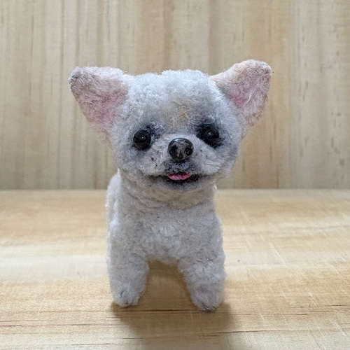 モールドール ちわわ チワワ モールアート モール人形 リアル 犬 モールドール ちわわ チワワ モールアート モール人形 リアル 犬