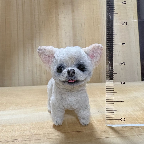 モールアート☆チワワ☆へそてん