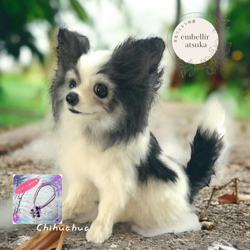 ☆次郎らも様専用☆羊毛フェルト【チワワ×パピヨン】MIX犬