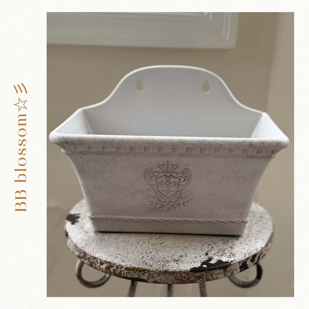 多肉植物 寄せ植え2019☆2020 フラワーカー アンティーク鉢 【公式通販】