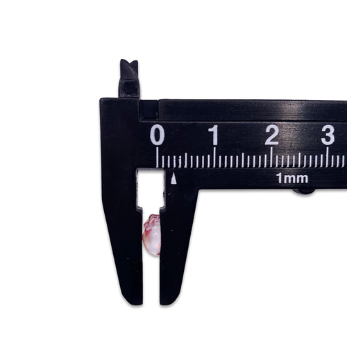 ネイルパーツ イチゴ 果物 ミニ 7mm 苺 赤 50個 フルーツ いちご
