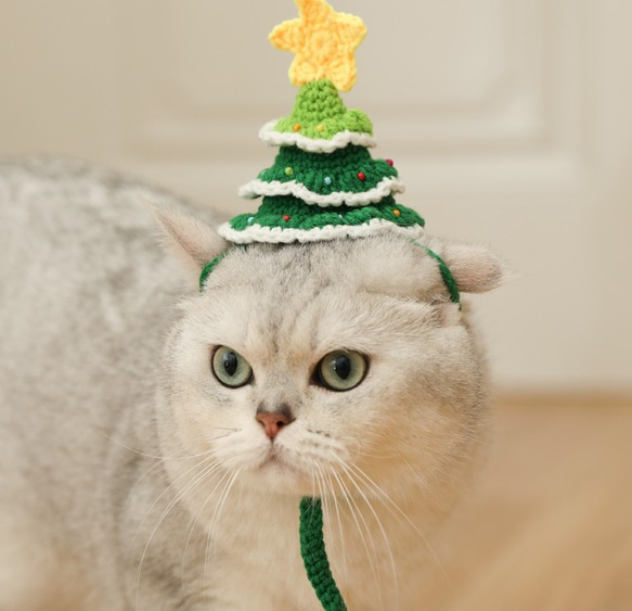 EMY's Gallery 猫帽子 犬帽子 カギ編み クリスマス クリスマス EMY's Gallery 猫帽子 犬帽子 カギ編み クリスマス クリスマス