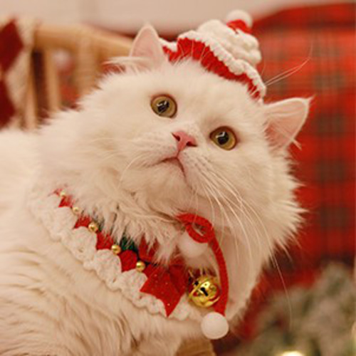 EMY's Gallery 猫帽子 犬帽子 カギ編み クリスマス クリスマスツリー