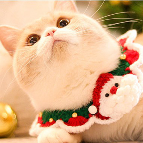 EMY's Gallery 猫襟 ワンちゃん襟 首輪 カギ編み 犬襟 つけ襟