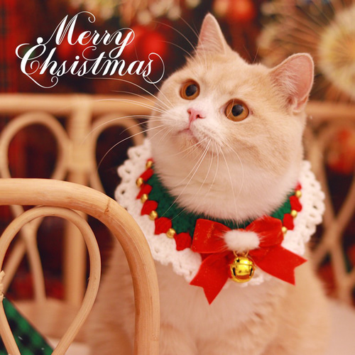 クリスマス、ファータイプ(赤⑦)わんちゃん猫ちゃん用襟つき首輪