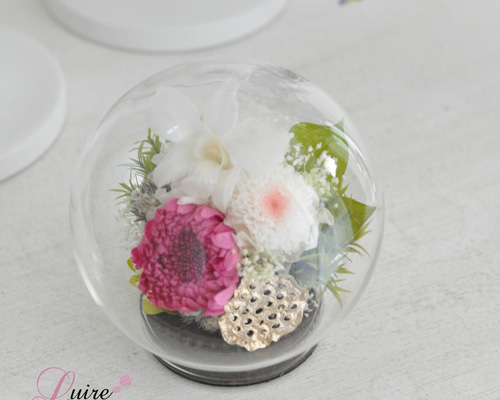 仏花　デンファレと大輪菊　プリザーブドフラワー　ガラスドーム（L）　華やか 丸いガラスドーム仏花（ラズベリー）／輪菊、小菊、デンファレすべて