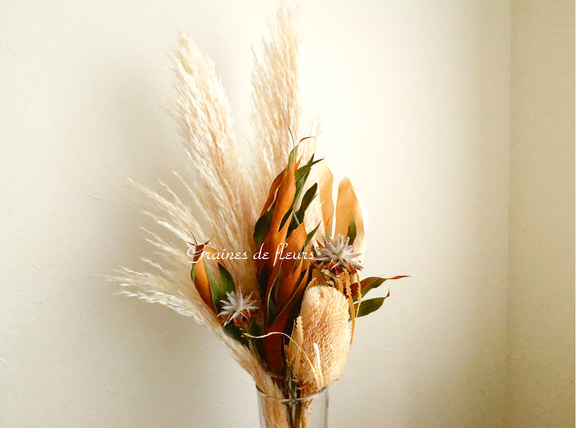 専用感謝sale＊パンパスツリーのジャンボドライボトル＆コットンのブリキアレンジ 専用 パンパスミックス 専用sale＊ パンパスツリー のジャンボドライ