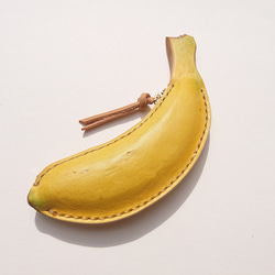 大きなバナナのオブジェ ジャイアントハイランドバナナ（ムサ・インゲンス）の種