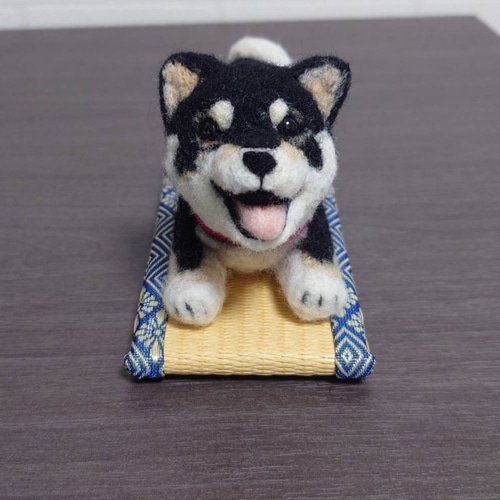 柴犬 羊毛 羊毛フェルト ハンドメイド 黒柴 羊毛フェルト allenkuro48