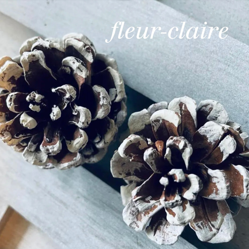 早割り しめ縄 しめ飾り プリザーブドバラ入りしめ縄 正月飾り お飾り