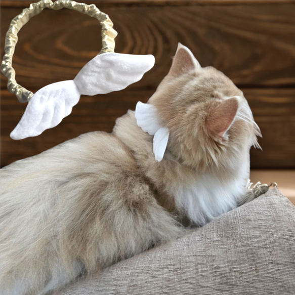 短毛シュシュ、ハロウィン(パープル白レース)わんちゃん猫ちゃん用