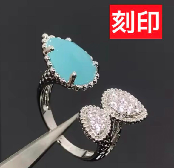 【ギフト】 ✳️ハイグレード 調節 最高級 アクアプレーズ セルパンボエム アクセサリー
