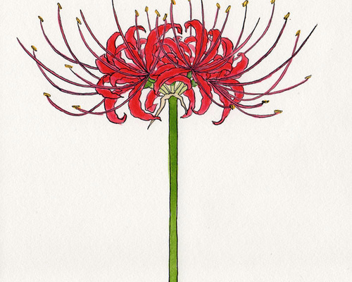 925e78a562ba5a5769cdacf7027f17