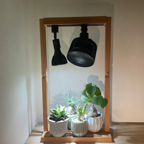 【超特価sale開催】  植物育成LEDライトスタンド［オーク］回転式サーキュレーター アガベ
