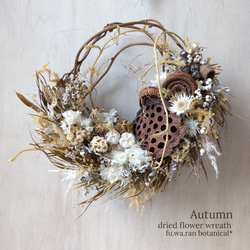 size42✕37＊ハスの実 セピアカラーの大きなドライフラワーリース