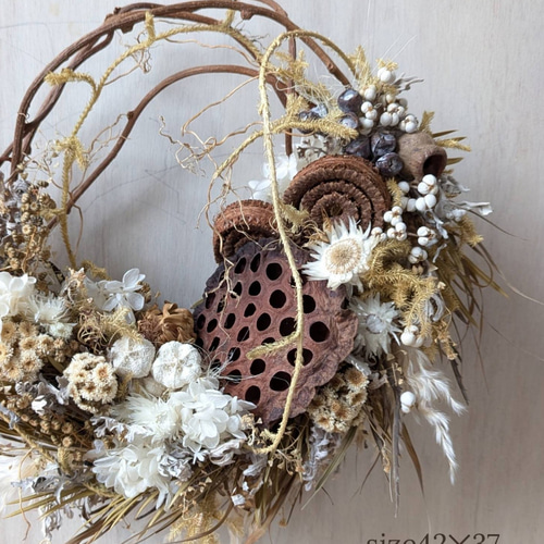 size42✕37＊ハスの実 セピアカラーの大きなドライフラワーリース