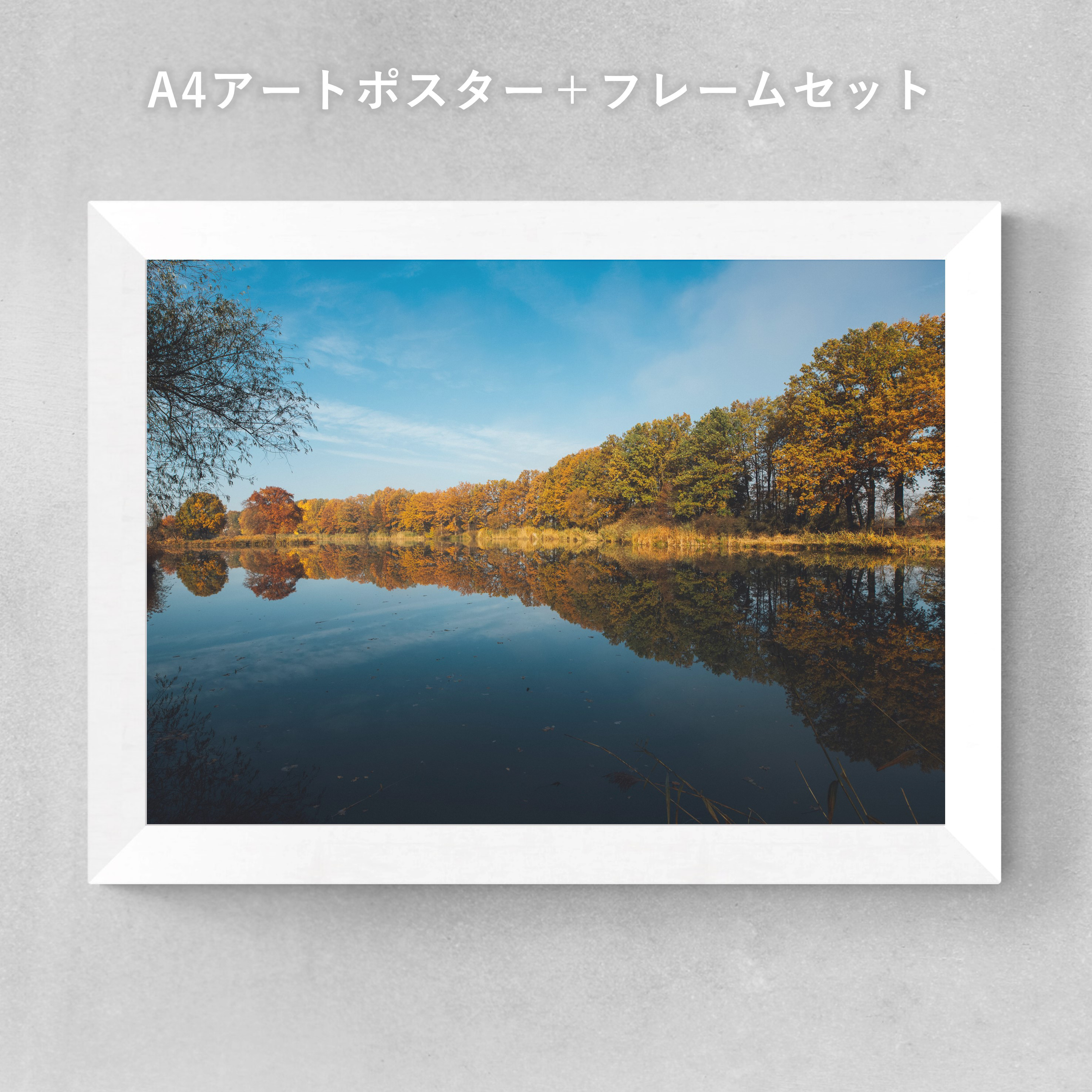 写真サイズ全紙　3枚　水彩画、ポスター A4～B1 アートポスター タペストリー【No.186 虹色富士と桜