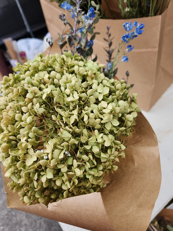 専用＊アナベル&スモークツリードライフラワーブーケ ウエディングにも