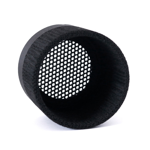 グラキリス　塊根植物 中型 黒い鉢付き 塊根植物 パキポディウム グラキリス 黒鉢付き