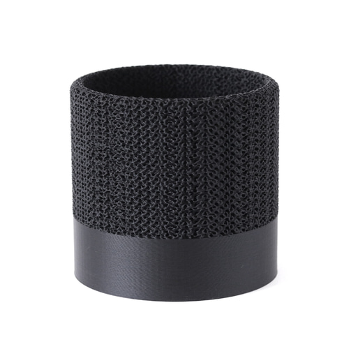 グラキリス　塊根植物 中型 黒い鉢付き 塊根植物 パキポディウム グラキリス 黒鉢付き