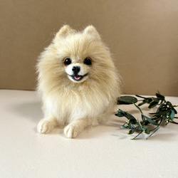 b27c279f5d1a3b98f0598726daa6dc