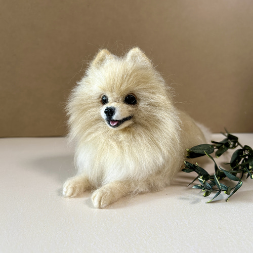 羊毛フェルト リラックスポメラニアン クリーム 送料無料 羊毛フェルト