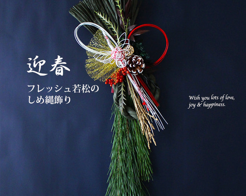 0026af940a442cc0e056f42424ef76