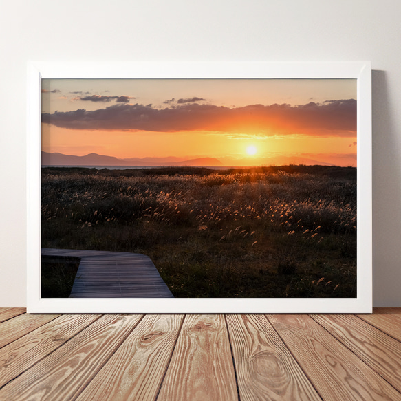 A4、A3可能】海辺のススキと夕日。アートポスター北海道風景写真 写真