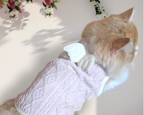 2b1c3a3fa3eb26ba3f58cf325dcb55