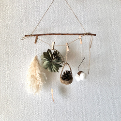 ユーカリ ボール L 16cm ＊ フラワーボール フライングボール ドライ