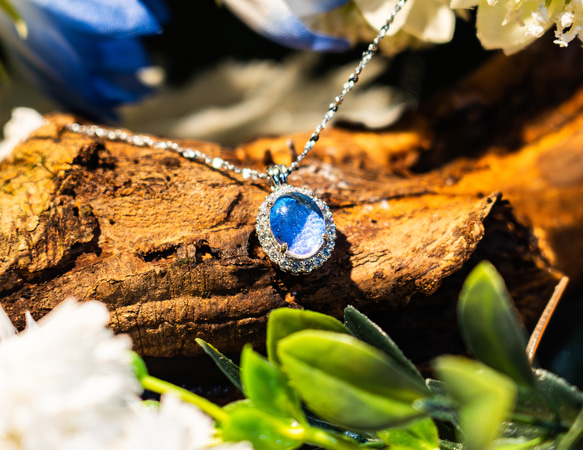 標本レベルのモルフォ蝶の羽使用・ネックレス】 ネックレス