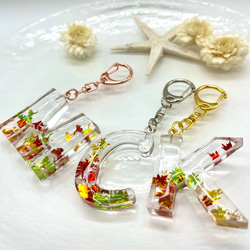 984039364e922f91f83fdf02fcd3a6