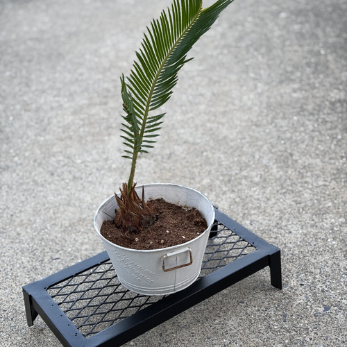 アイアン フラワーラック ハンドメイド 園芸棚 多肉植物 観葉