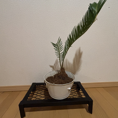 アイアン フラワーラック ハンドメイド 園芸棚 多肉植物 観葉 アイアン フラワーラック ハンドメイド 園芸棚 多肉植物 観葉