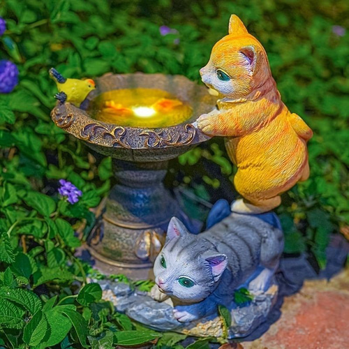 Amazon.co.jp: 癒やしの空間 センチメンタル 猫 ネコ 夕陽 沖縄