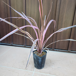 82b680445fdbcae698f44712927812